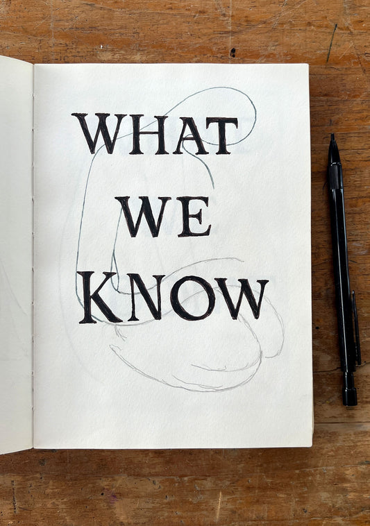 What We Know What We Dont