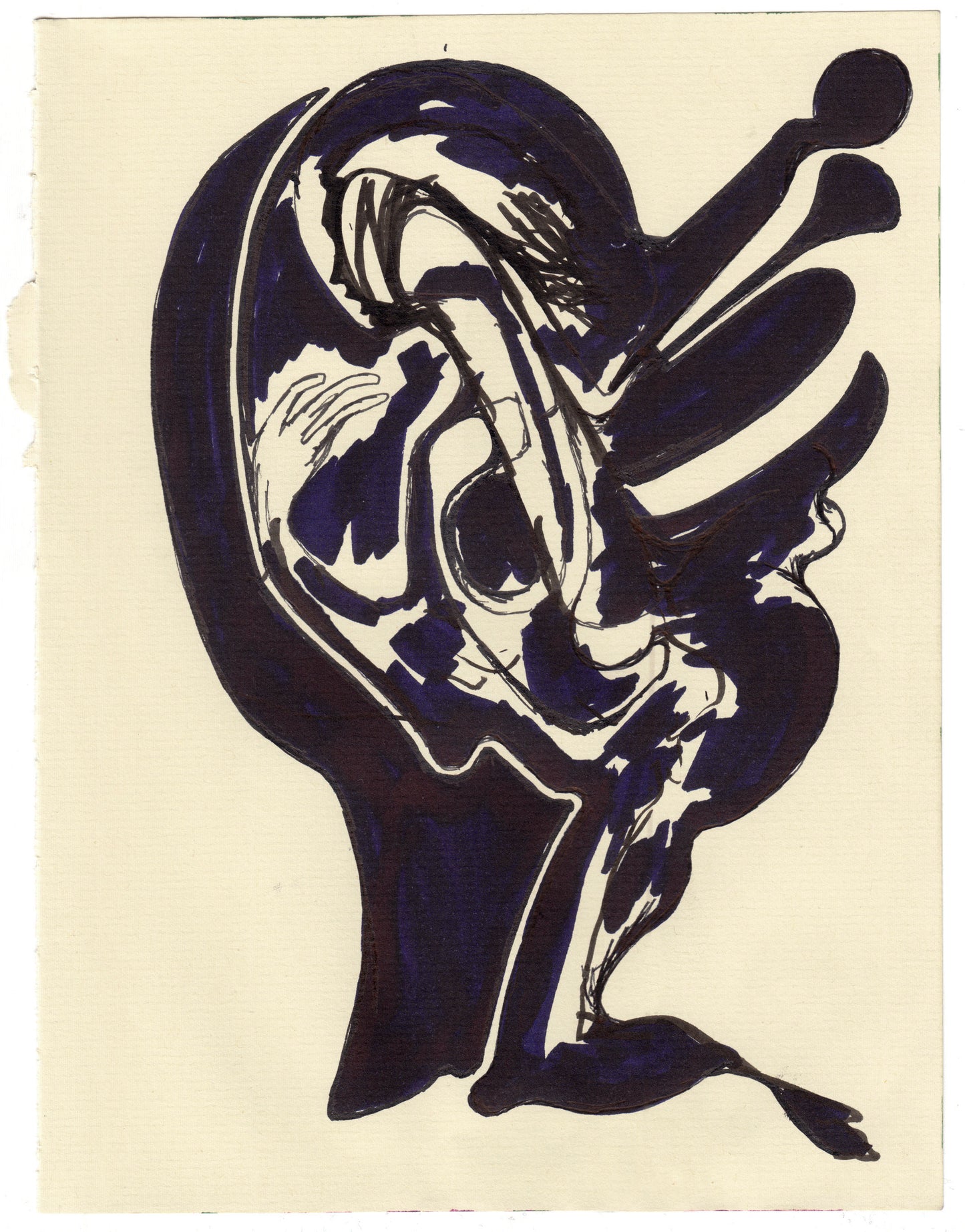 Trumpeter