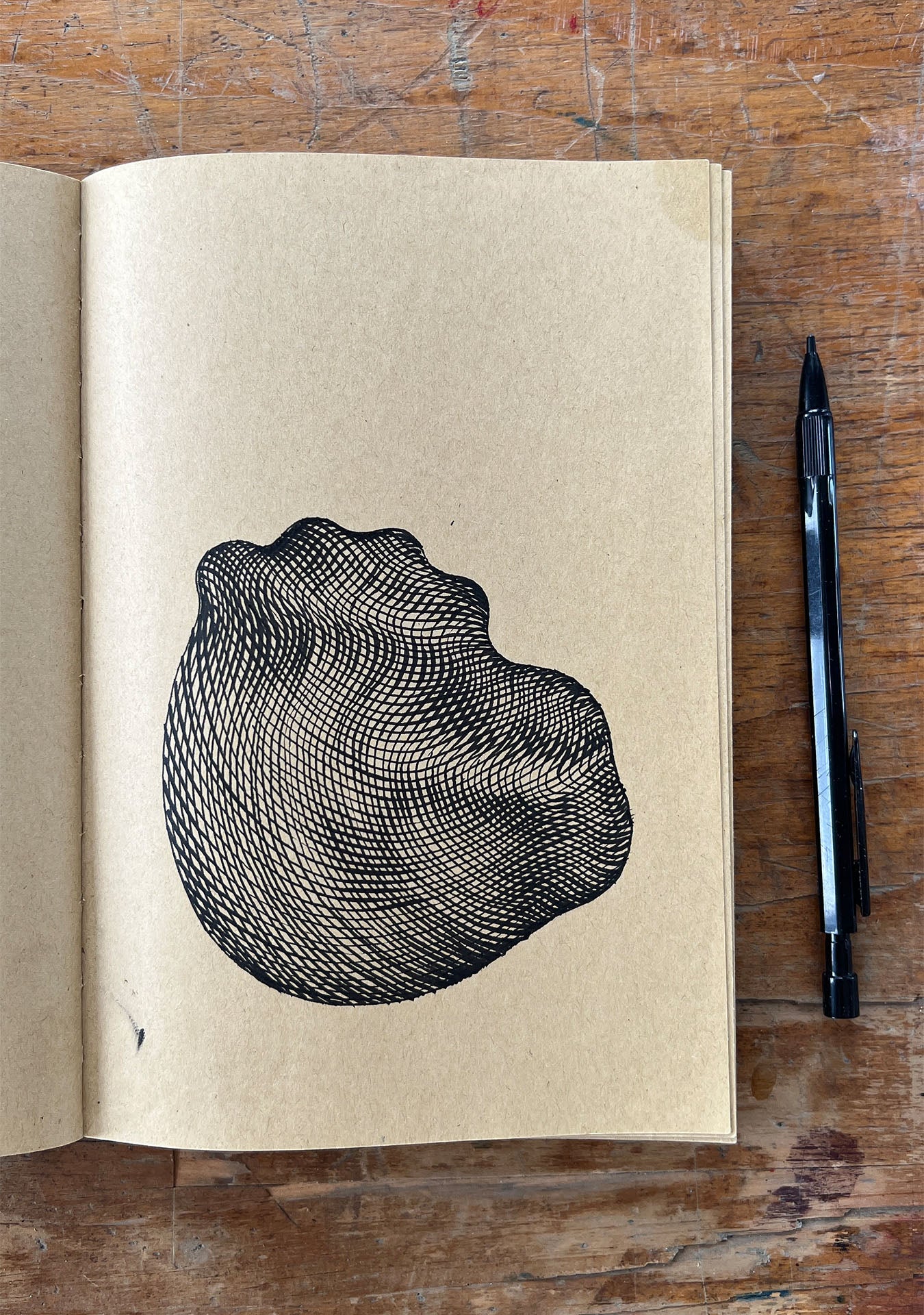 Mollusc