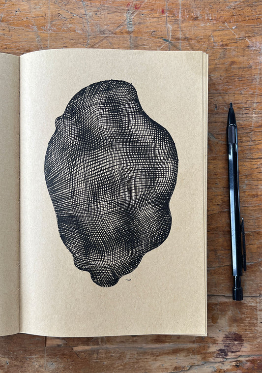 Mollusc
