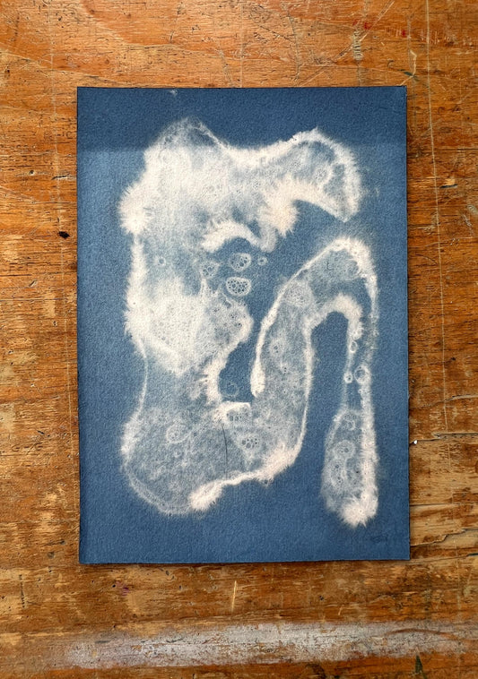 Bleached Denim