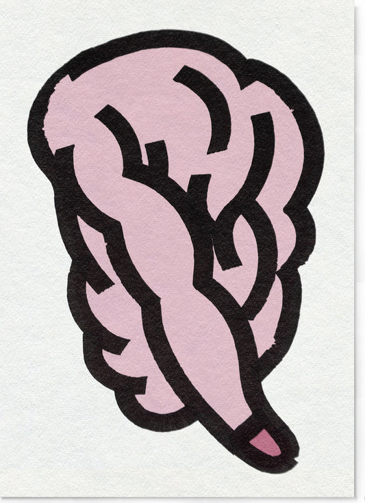 Penis pink